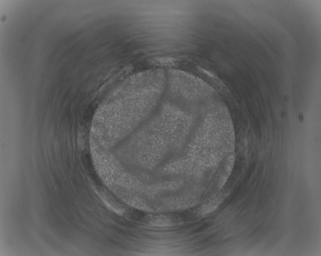 X0000081410658200702092110