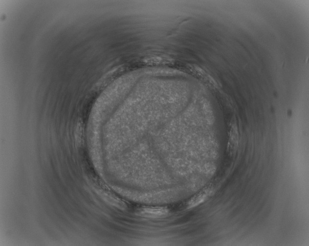 X0000081410659200702092110