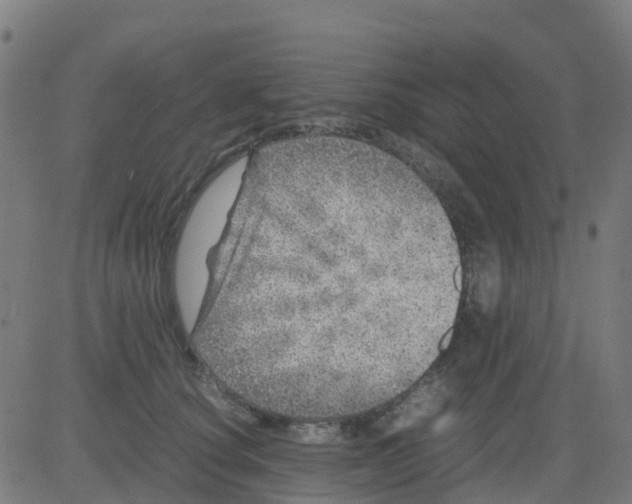 X0000081410660200702092110