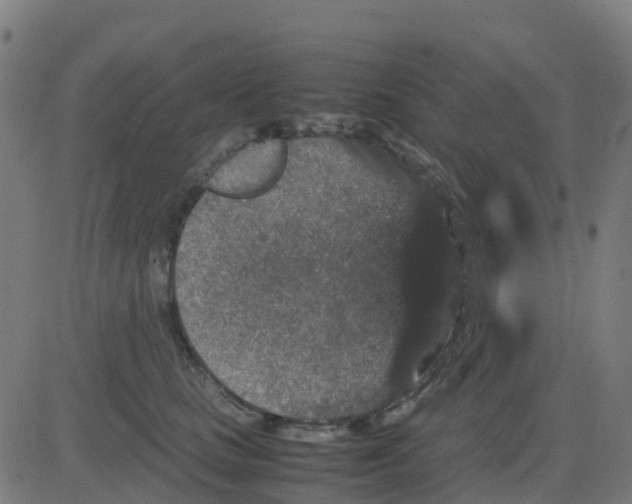 X0000081410661200702092110