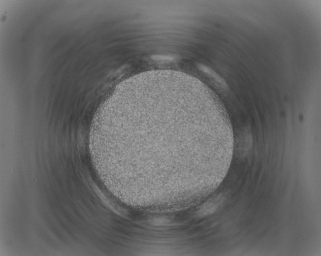 X0000081410662200702092110