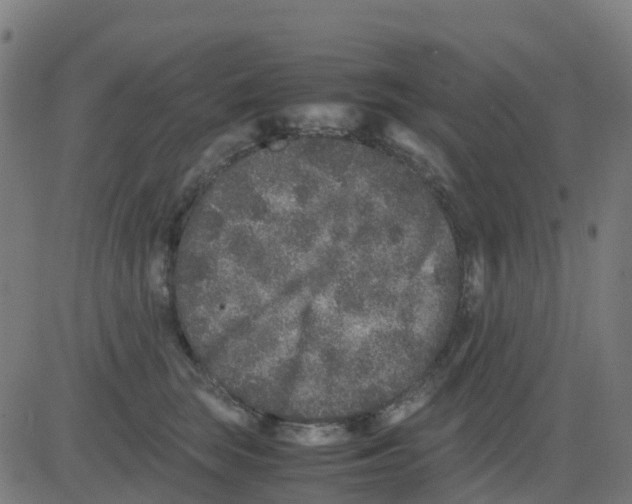 X0000081410663200702092110