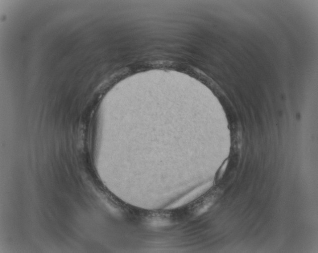 X0000081410664200702092110