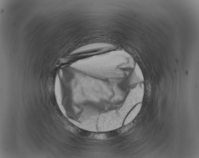 X0000081410665200702092110