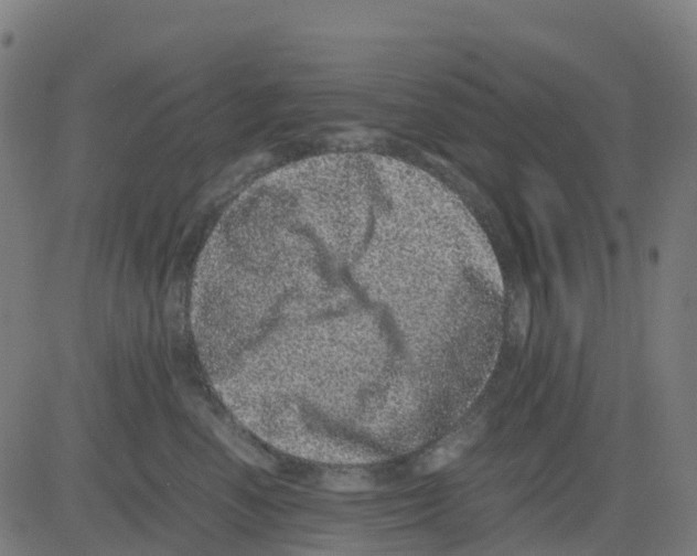 X0000081410666200702092110