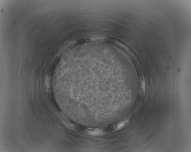 X0000081410667200702092110