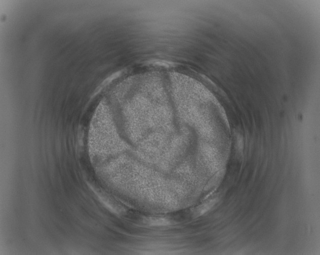 X0000081410668200702092110