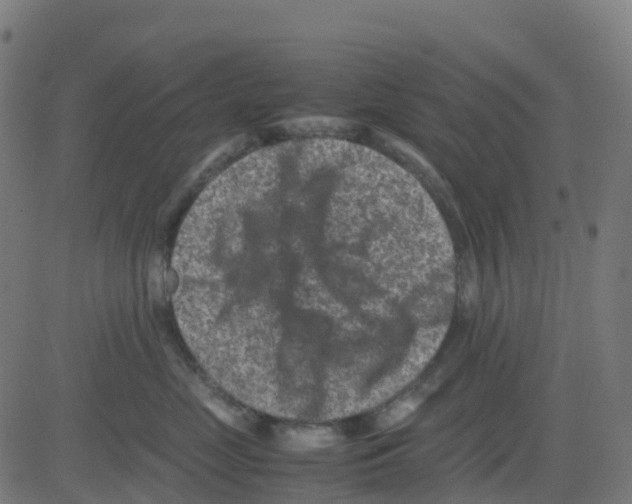 X0000081410669200702092110