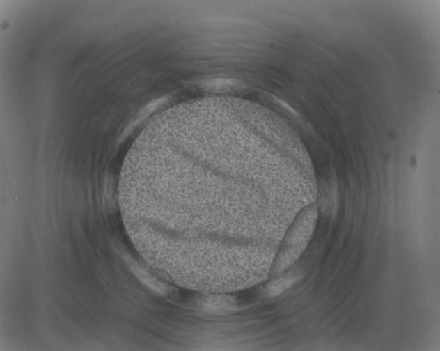 X0000081410670200702092110