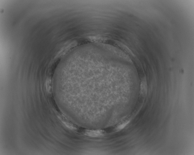 X0000081410671200702092110