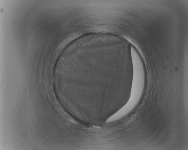 X0000081410673200702092109