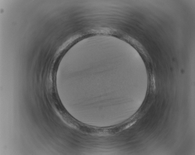 X0000081410674200702092109