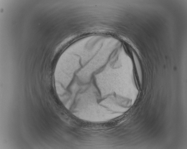 X0000081410675200702092109