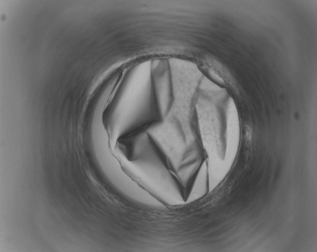 X0000081410676200702092109