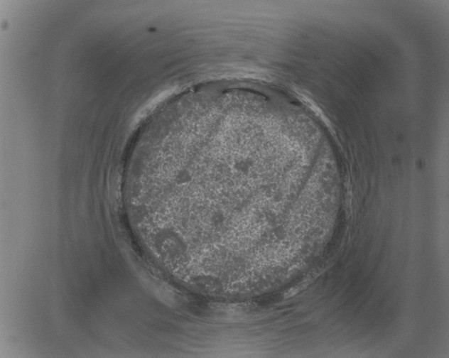 X0000081410679200702092109