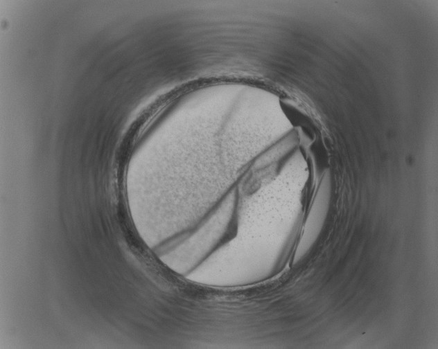 X0000081410680200702092109