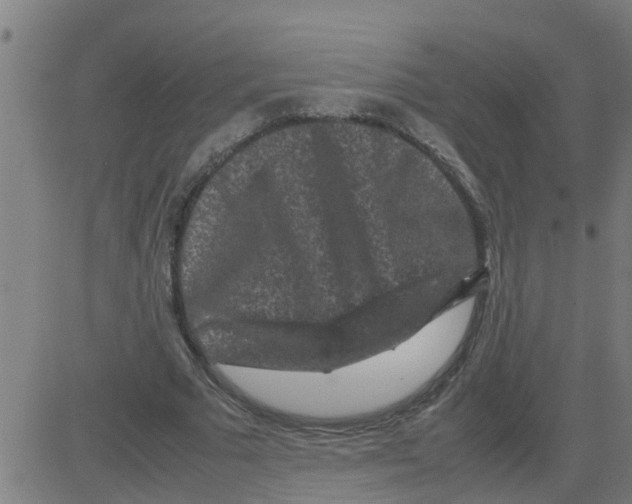 X0000081410681200702092109