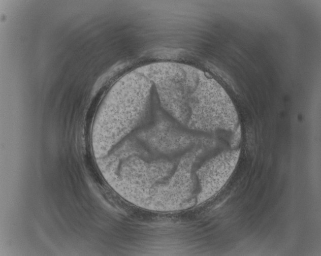 X0000081410682200702092109