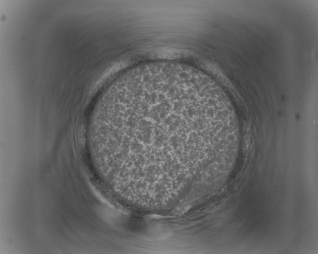 X0000081410683200702092109