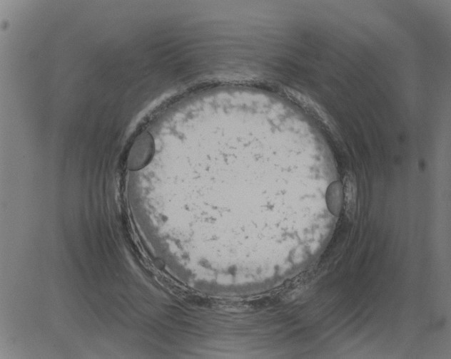 X0000081410684200702092109