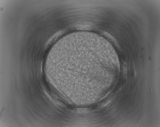 X0000081410686200702092109