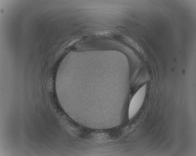 X0000081410689200702092109