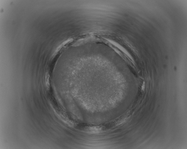 X0000081410692200702092109