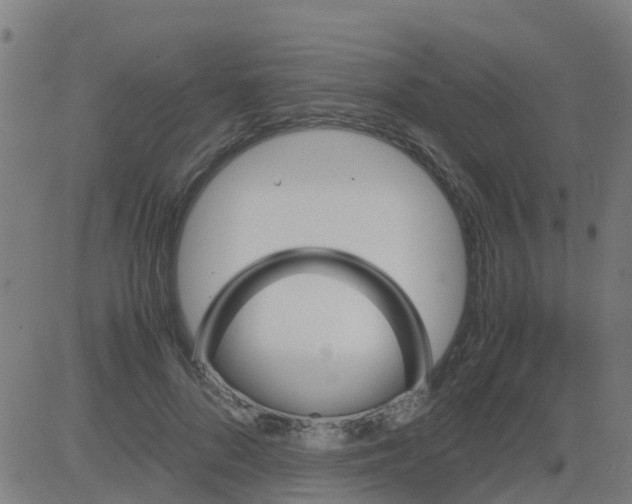 X0000081410696200702092109