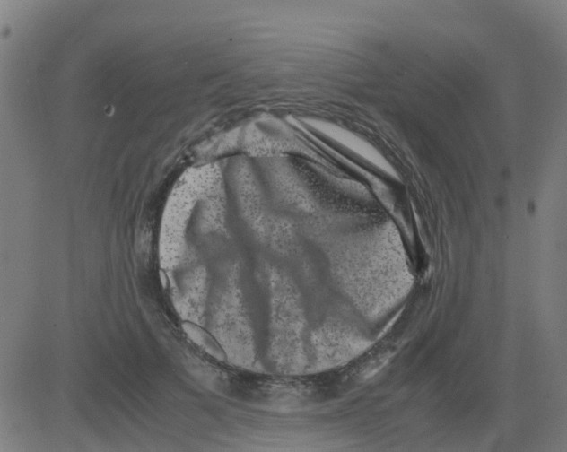 X0000081410697200702092109