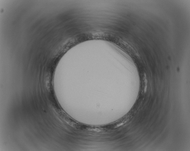 X0000081410698200702092109