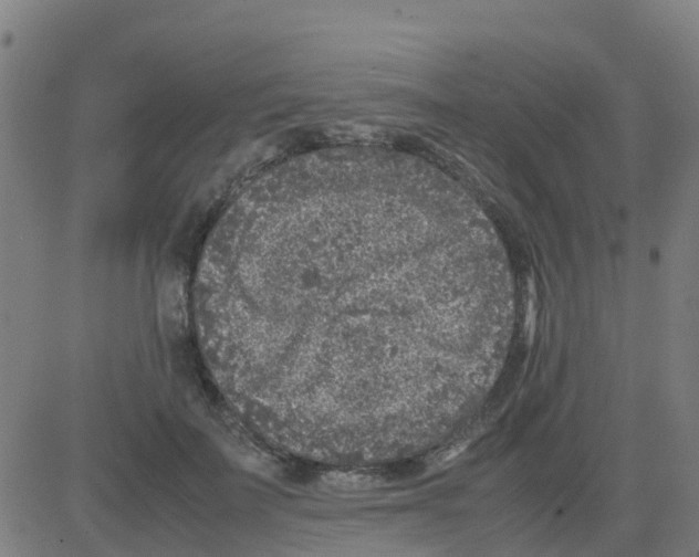 X0000081410699200702092109