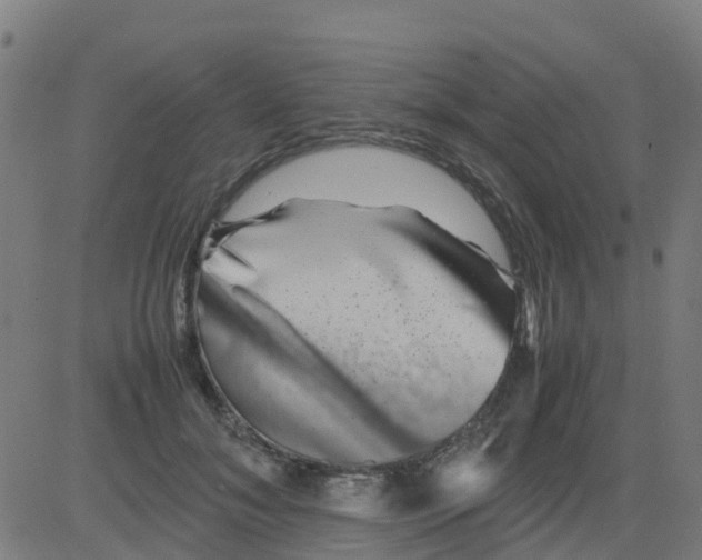 X0000081410700200702092109