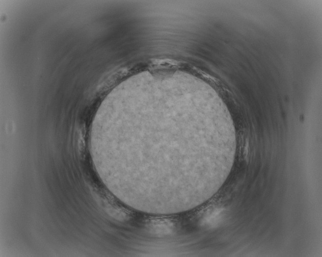 X0000081410702200702092109