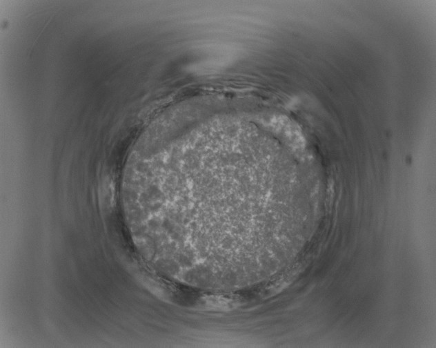 X0000081410703200702092109