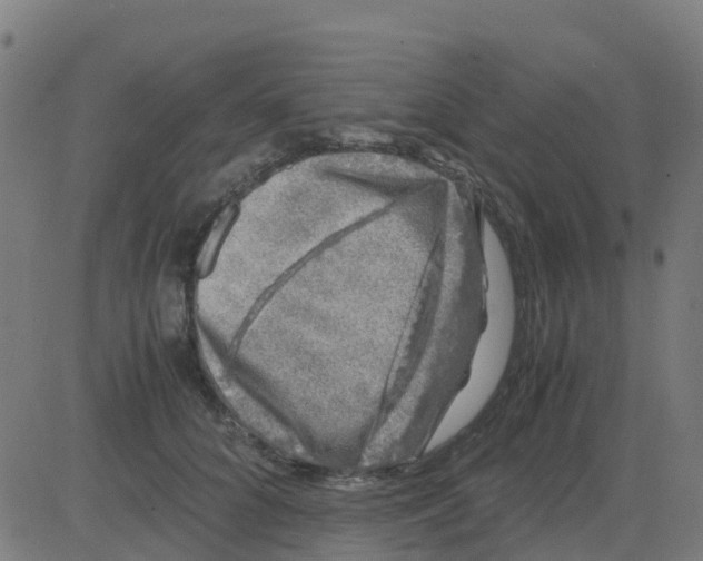 X0000081410704200702092109