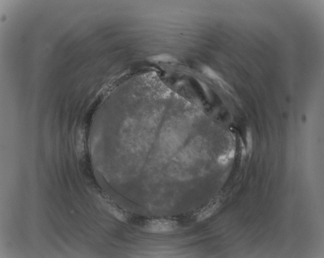 X0000081410708200702092109