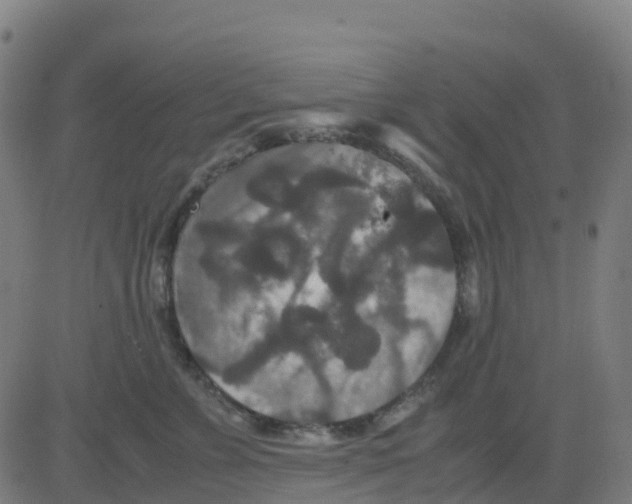 X0000081410715200702092109