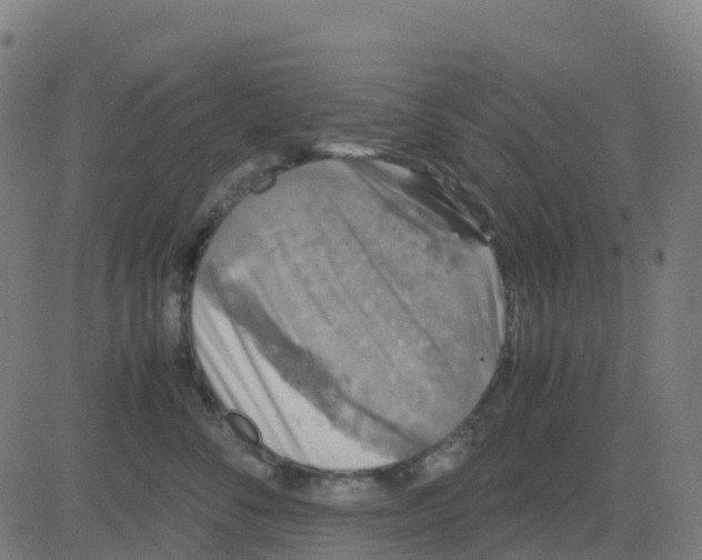 X0000081410716200702092109