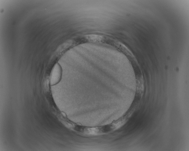 X0000081410717200702092109