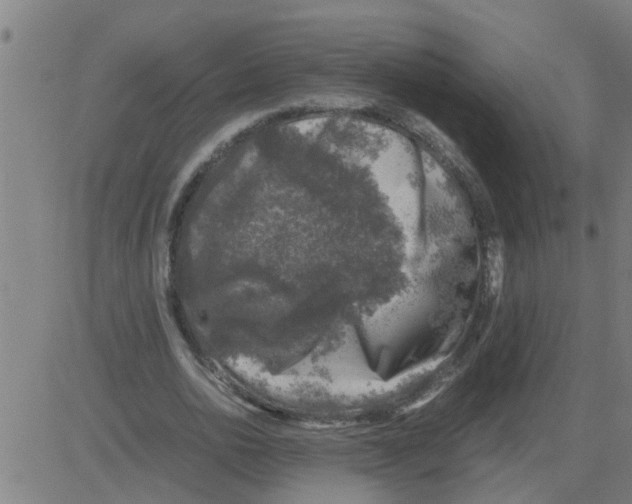 X0000081410726200702092108