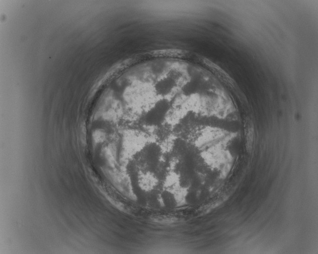 X0000081410729200702092108