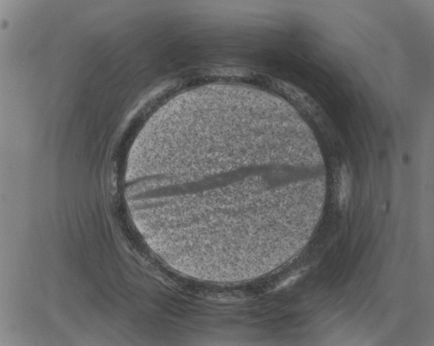 X0000081410731200702092108