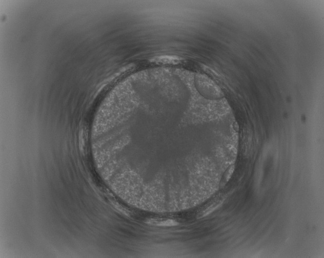 X0000081410747200702092108