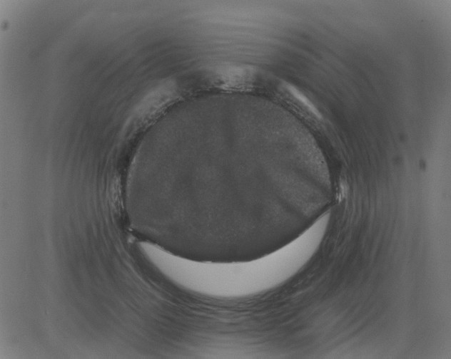 X0000081410748200702092108