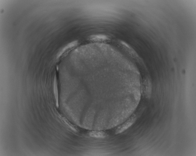 X0000081410762200702092108