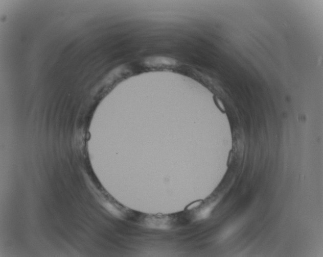 X0000081410767200702092109