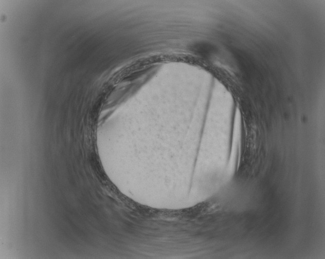 X0000081410773200702092108