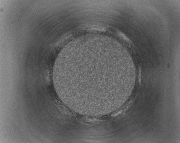 X0000081410774200702092108