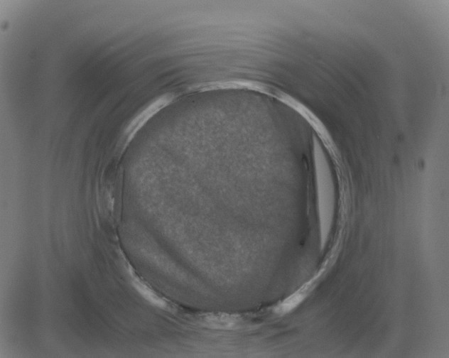 X0000081410809200702092107