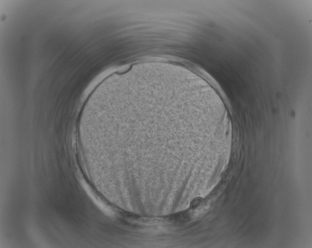 X0000081410811200702092107